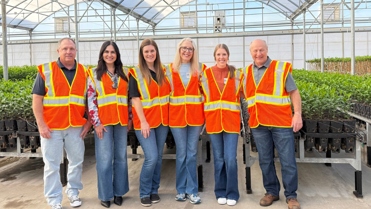 Featured article image